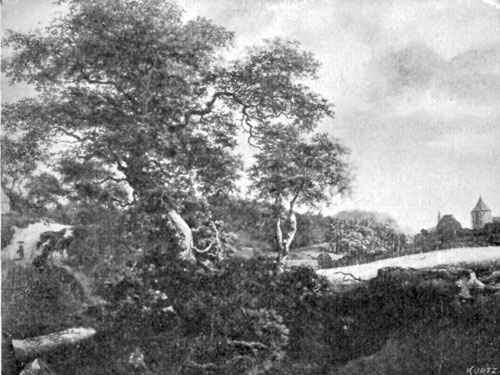 FIG. 83.—J. VAN RUISDAEL. LANDSCAPE.