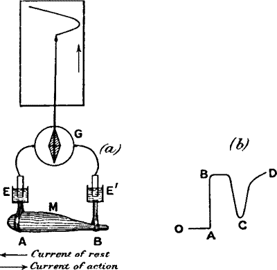Fig.&nbsp;4.&mdash;Electric Recorder