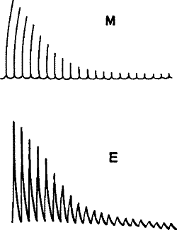 Fig.&nbsp;5.&mdash;Simultaneous Record of the Mechanical (M) and (E) Electrical Responses of the Muscle of Frog. (Waller.)