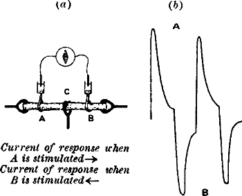 Fig.&nbsp;14.&mdash;The Method of Block