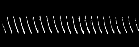 Fig.&nbsp;16.&mdash;Uniform Responses (Radish)