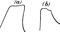 Fig.&nbsp;17.&mdash;Fusion of Effect of Rapidly Succeeding Stimuli