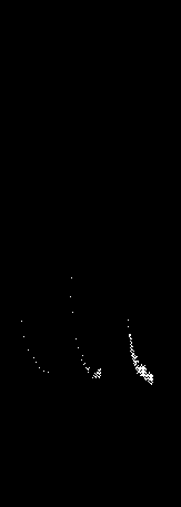 Fig.&nbsp;19.&mdash;&lsquo;Staircase Effect&rsquo; in Plant