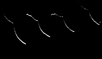 Fig.&nbsp;25.&mdash;Effect of Continuous Vibration (through 50&deg;) in Carrot