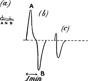Fig.&nbsp;26.&mdash;Diphasic Variation