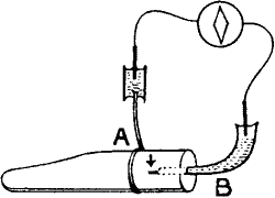 Fig.&nbsp;29.&mdash;Radial E.M. Variation