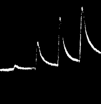 Fig.&nbsp;31