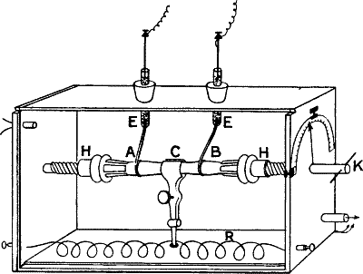 Fig.&nbsp;37.&mdash;The Glass Chamber containing the Plant