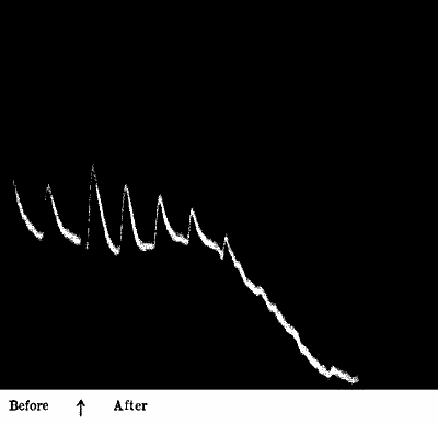 Fig.&nbsp;42.&mdash;Effect of Steam in Killing Response