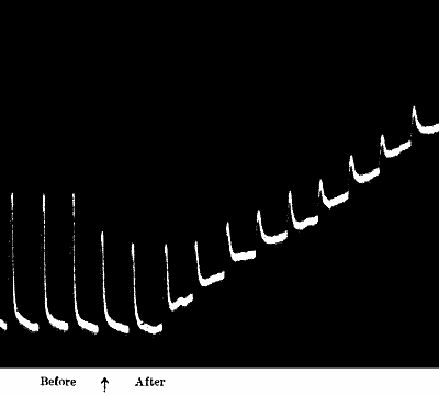 Fig.&nbsp;44.&mdash;Effect of Chloroform on Responses of Carrot