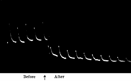 Fig.&nbsp;45.&mdash;Action of Chloral Hydrate on the Responses of Leaf-stalk of Cauliflower