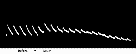Fig.&nbsp;46.&mdash;Action of Formalin (Radish)