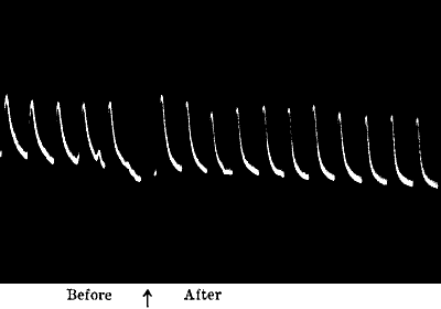 Fig.&nbsp;48.&mdash;Stimulating Action of very dilute KOH