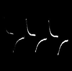 Fig.&nbsp;56.&mdash;Equal and Opposite Responses exhibited by A and B
