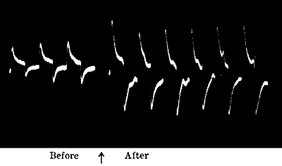 Fig.&nbsp;58.&mdash;Effect of Annealing on increasing the Response of both A and B Wires (Tin)