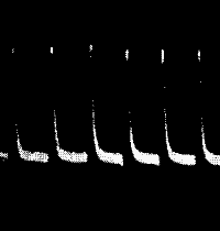 Fig.&nbsp;59.&mdash;Uniform Responses in Tin