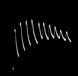 Fig.&nbsp;71.&mdash;Fatigue Shown by Tin Wire which had been Continuously Stimulated for Several Days