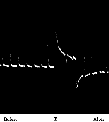 Fig.&nbsp;80.&mdash;Enhanced Response in Platinum after Continuous Stimulation T