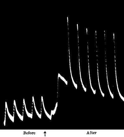 Fig.&nbsp;89.&mdash;Stimulating Action of Na2CO3 on Tin