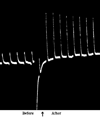 Fig.&nbsp;90.&mdash;Stimulating Action of Na2CO3 on Platinum