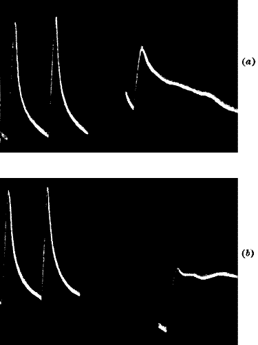 Fig.&nbsp;93.&mdash;&lsquo;Molecular Arrest&rsquo; by the Action of &lsquo;poison&rsquo;
