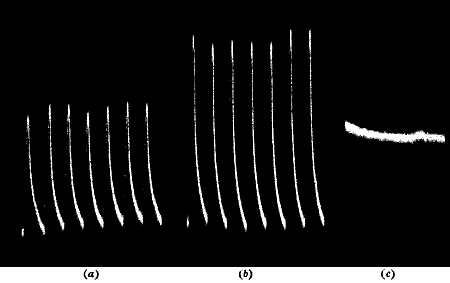 Fig.&nbsp;94.&mdash;Opposite Effects of Small and Large Doses (Tin)