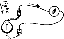 Fig.&nbsp;95. Retinal Response To Light