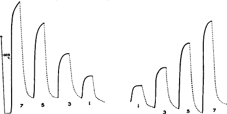 Fig.&nbsp;103.&mdash;Responses of Sensitive Cell to various Intensities of Light