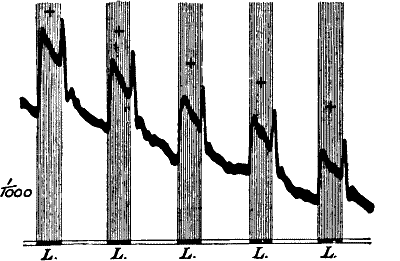 Fig.&nbsp;106.&mdash;Transient Positive Augmentation given by the Frog’s Retina on the Cessation of Light L (Waller)