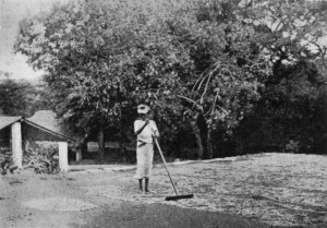 SPREADING THE CACAO BEANS ON MATS TO DRY IN THE SUN, CEYLON.