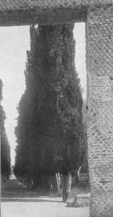 Example Of Opus Reticulatum From The Doorway Of The Stoa Poecile. Villa
Of Hadrian At Tivoli