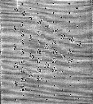 FIG. 791.
PATTERN FOR ROSE GROUND.