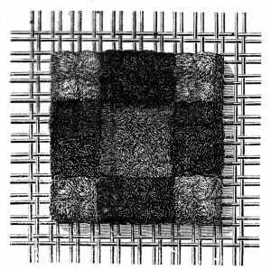 FIG. 849. SMYRNA STITCH
WORKED WITH A CROCHET NEEDLE.
APPEARANCE OF THE WORK WHEN FINISHED.