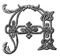 FIG. 882.
LETTER A OF THE
ALPHABET IN SOUTACHE
IN ITS FINISHED
STATE.