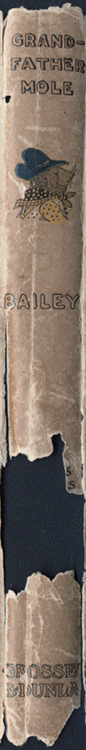 Spine Spine image for The Tale of Grandfather Mole