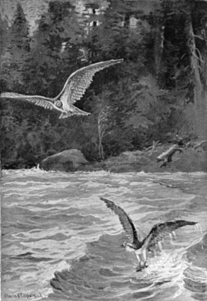 &ldquo;GRIPPING HIS FISH AND PIP-PIPPING HIS EXULTATION&rdquo;