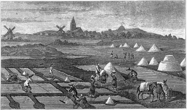 44. Salt-pans, with Le Croisic in the distance.