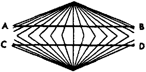Converging straight lines bisecting
two parallel horizons, AB and CD.