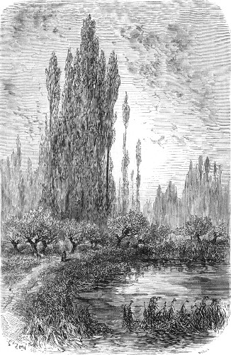 ILE DES &Eacute;PIS.