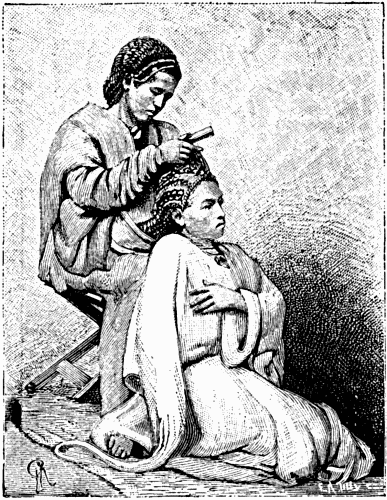 ABYSSINIAN HAIR DRESSER.
