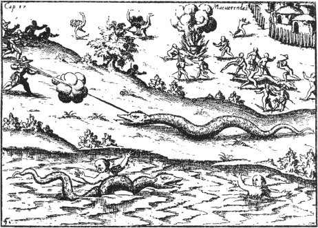 Riesenschlange von 25 Fu&szlig; L&auml;nge am Paran&aacute; (1539)