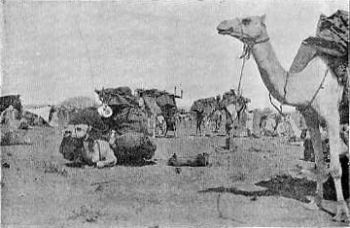 Loading Up&mdash;Breaking Camp.