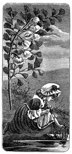 "THE LILY-BELLS SWAYED."