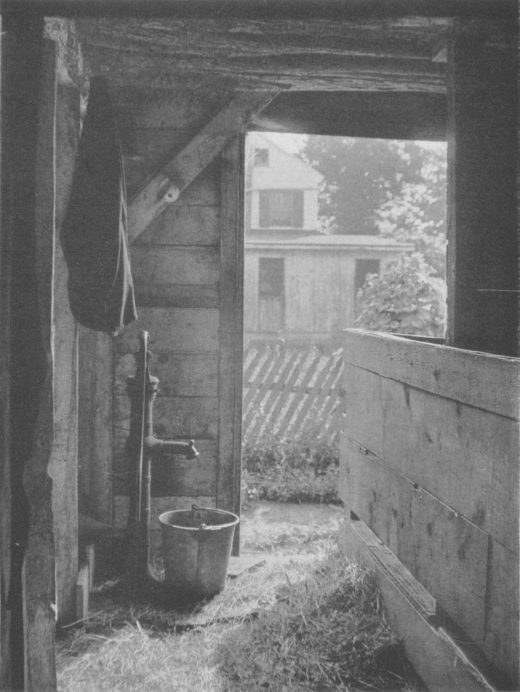 DICK'S STALLBy G. W. Harting, New York City DICK'S STALL, By G. W. Harting, New York City