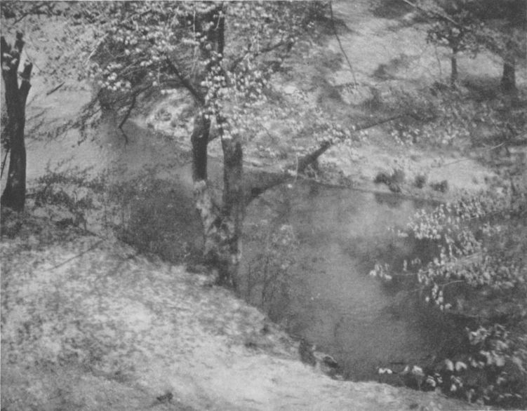 SPRINGBy Holmes I. Mettee, Arlington, Md. SPRING, By Holmes I. Mettee, Arlington, Md.