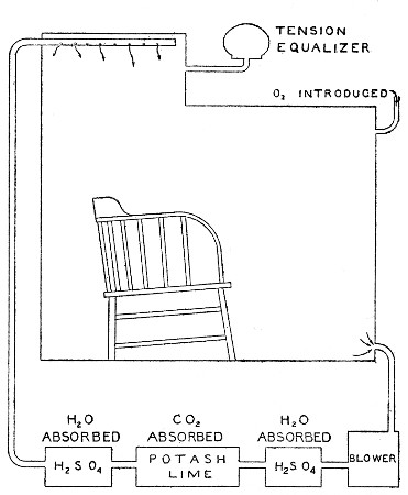 Fig. 27.&mdash;Diagram of ventilation of respiration
calorimeter. The air is taken out at lower right-hand corner and forced
by the blower through the apparatus for absorbing water and carbon
dioxide. It returns to the calorimeter at the top. Oxygen can be
introduced into the chamber itself as need is shown by the tension
equalizer.