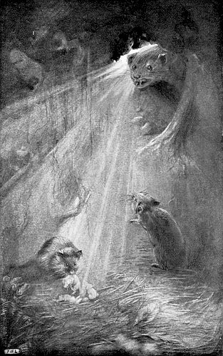 &ldquo;SHE WAS HOLDING ONE OF HER OFFSPRING BY THE NECK, IN
PREPARATION FOR FLIGHT.&rdquo;