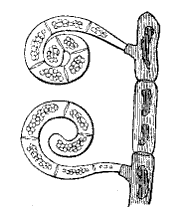 Fig. 63.