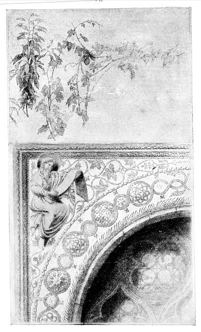 THE VINE TREE, AND IN SERVICE. THE VINE TREE, AND IN SERVICE.