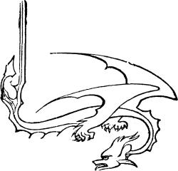 Fig. XVII. Fig. XVII.